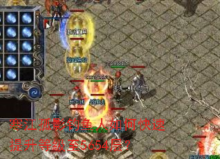 ������Ӱ��������ο��������ȼ���5654�㣿