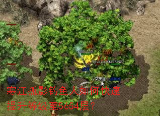 ������Ӱ��������ο��������ȼ���5654�㣿