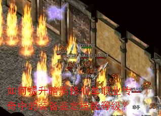 ��������������ɵ�ְҵ�����е�װ���������ܵȼ���