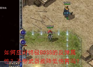 ���Ӧ���ռ�BOSS�ķ������ԣ����������ܽ����˺���