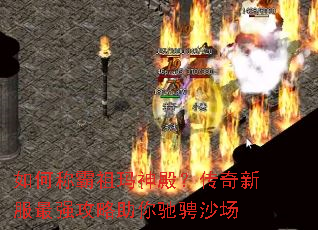 ��γư������������·���ǿ��������۳�ɳ��