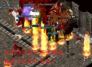 ��ο������������ҵ�����еĽ�ɫ�ȼ���