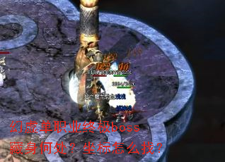 ���鵥ְҵ�ռ�boss�����δ���������ô�ң�