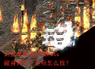 ���鵥ְҵ�ռ�boss�����δ���������ô�ң�