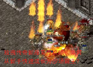 õ�崫���·������ԣ���δ����ֿ��ٳɳ�Ϊɳ��������