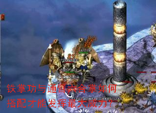 铁掌功与通臂六合掌如何搭配才能发挥最大威力? 铁掌功与通臂六合掌如何搭配才能发挥最大威力?