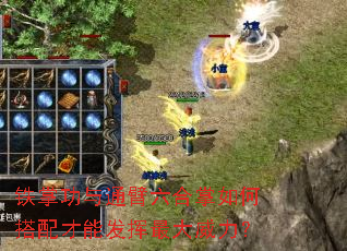 铁掌功与通臂六合掌如何搭配才能发挥最大威力? 铁掌功与通臂六合掌如何搭配才能发挥最大威力?
