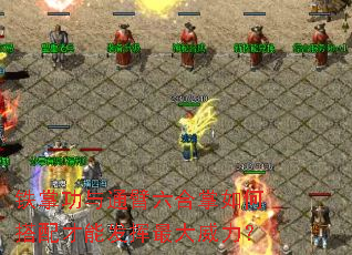 铁掌功与通臂六合掌如何搭配才能发挥最大威力? 铁掌功与通臂六合掌如何搭配才能发挥最大威力?