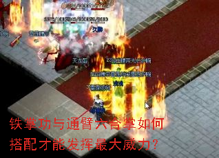 铁掌功与通臂六合掌如何搭配才能发挥最大威力? 铁掌功与通臂六合掌如何搭配才能发挥最大威力?
