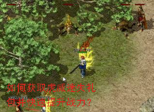 如何获取虎威迷失礼包并快速提升战力? 如何获取虎威迷失礼包并快速提升战力?