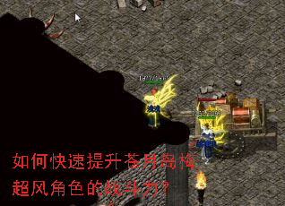 如何快速提升苍月岛梅超风角色的战斗力? 如何快速提升苍月岛梅超风角色的战斗力?