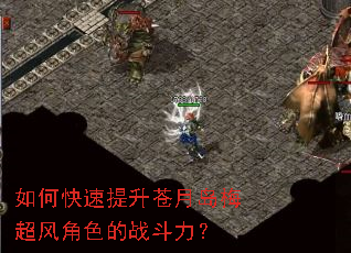 如何快速提升苍月岛梅超风角色的战斗力? 如何快速提升苍月岛梅超风角色的战斗力?