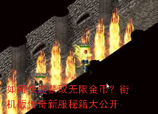 如何快速获取无限金币?街机版传奇新服秘籍大公开 如何快速获取无限金币?街机版传奇新服秘籍大公开
