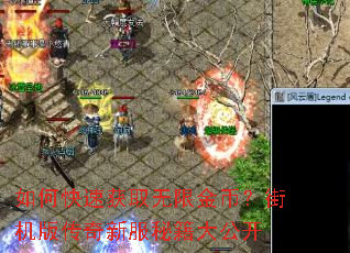 如何快速获取无限金币?街机版传奇新服秘籍大公开 如何快速获取无限金币?街机版传奇新服秘籍大公开