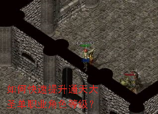 如何快速提升通天大圣单职业角色等级? 如何快速提升通天大圣单职业角色等级?