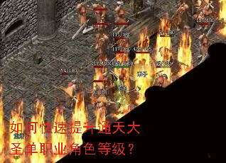 如何快速提升通天大圣单职业角色等级? 如何快速提升通天大圣单职业角色等级?