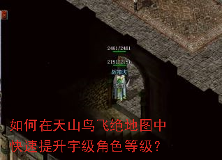 如何在天山鸟飞绝地图中快速提升宇级角色等级? 如何在天山鸟飞绝地图中快速提升宇级角色等级?