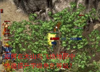 如何在天山鸟飞绝地图中快速提升宇级角色等级? 如何在天山鸟飞绝地图中快速提升宇级角色等级?