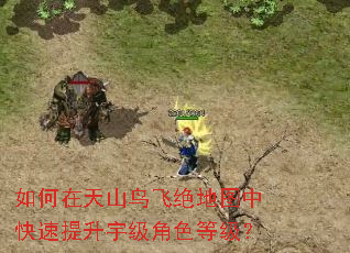 如何在天山鸟飞绝地图中快速提升宇级角色等级? 如何在天山鸟飞绝地图中快速提升宇级角色等级?