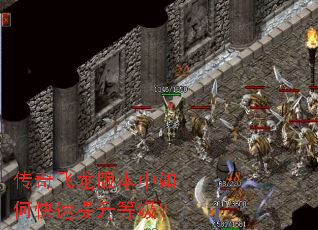传奇飞龙版本中如何快速提升等级? 传奇飞龙版本中如何快速提升等级?