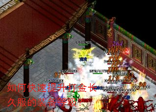 如何快速提升打金长久服的装备等级? 如何快速提升打金长久服的装备等级?