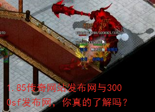 1.85传奇网站发布网与3000sf发布网,你真的了解吗? 1.85传奇网站发布网与3000sf发布网,你真的了解吗?