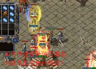 如何快速提升风云魔血大陆单职业角色等级? 如何快速提升风云魔血大陆单职业角色等级?