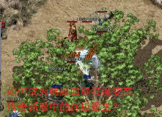 ��γ�Ϊ����Ѫ�ȿ�ħ��̬�����·��е��ռ�������