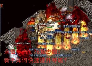 ���㴫��1.76���Ű棺������ο��������ȼ���