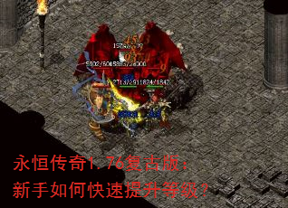 ���㴫��1.76���Ű棺������ο��������ȼ���