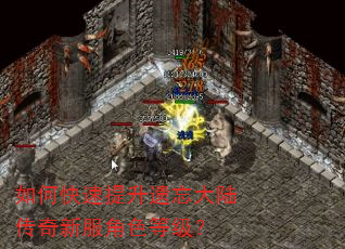 如何快速提升遗忘大陆传奇新服角色等级? 如何快速提升遗忘大陆传奇新服角色等级?