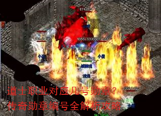 ��ʿְҵ��Ӧ����ѫ�£�����ѫ�±��ȫ��������