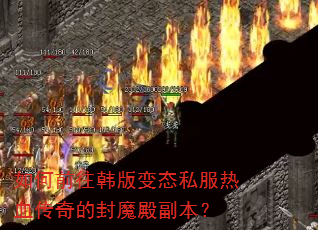 ���ǰ�������̬˽����Ѫ����ķ�ħ�����