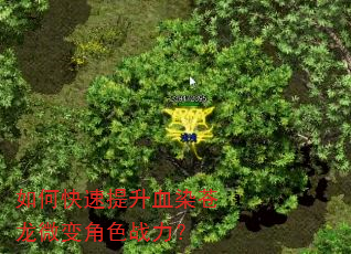 如何快速提升血染苍龙微变角色战力? 如何快速提升血染苍龙微变角色战力?