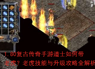 1.80复古传奇手游道士如何带老虎?老虎技能与升级攻略全解析 1.80复古传奇手游道士如何带老虎?老虎技能与升级攻略全解析