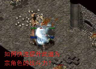 如何快速提升武道为宗角色的战斗力? 如何快速提升武道为宗角色的战斗力?