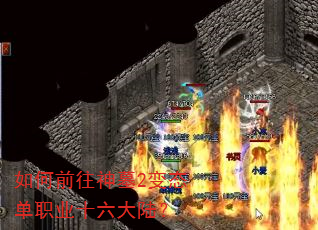 ���ǰ����Ĺ2��̬��ְҵʮ����½��