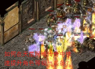 ������������紫���п���������ɫ�ȼ���װ����