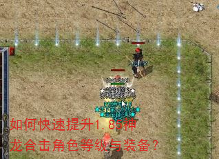 如何快速提升1.85神龙合击角色等级与装备? 如何快速提升1.85神龙合击角色等级与装备?