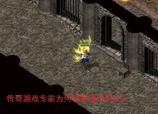 ������Ϸר��Ϊ��ƫ����ʿְҵ��