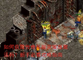 ��λ�ȡ����˽����ҫ�漤���룿���ֱؿ�����ָ��