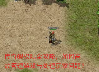 传奇GM权限全攻略,如何高效管理游戏与处理玩家问题? 传奇GM权限全攻略,如何高效管理游戏与处理玩家问题?