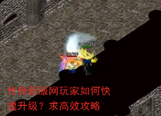传奇新服网玩家如何快速升级?求高效攻略 传奇新服网玩家如何快速升级?求高效攻略