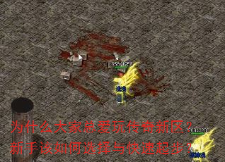 为什么大家总爱玩传奇新区?新手该如何选择与快速起步? 为什么大家总爱玩传奇新区?新手该如何选择与快速起步?