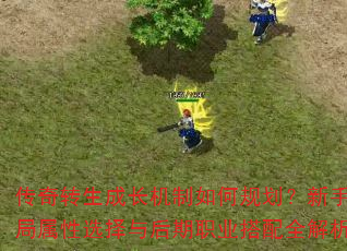 传奇转生成长机制如何规划?新手开局属性选择与后期职业搭配全解析 传奇转生成长机制如何规划?新手开局属性选择与后期职业搭配全解析