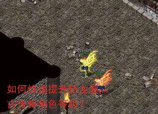 如何快速提升斩龙复古传奇角色等级? 如何快速提升斩龙复古传奇角色等级?
