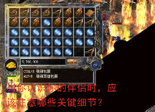 ������ʶ��İ���ʱ��Ӧ��ע����Щ�ؼ�ϸ�ڣ�