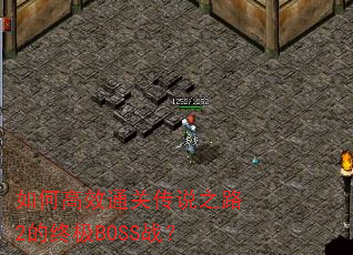 ��θ�Чͨ�ش�˵֮·2���ռ�BOSSս��