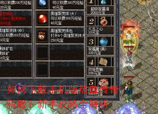 如何下载手机版热血传奇私服?新手攻略全解析 如何下载手机版热血传奇私服?新手攻略全解析