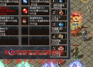 热血传奇私服攻略哪里找?新手入门必备指南 热血传奇私服攻略哪里找?新手入门必备指南